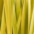 Aroma difuzér Citronová tráva