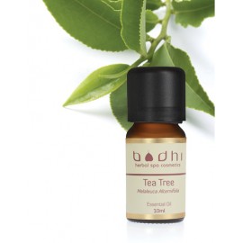 Esenciálny olej Čajovník (Tea Tree)