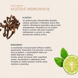 Tělové mléko SPICE THERAPY